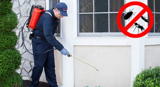 Küre Pire İlaçlama böcek ilaçlama ve haşere kontrolü — ilaclama-tr.com
